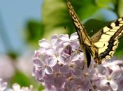 Синоптики обещают позднюю весну и 40-градусную жару летом 