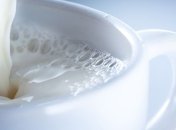 Президент ветировал "молочный" закон