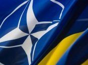 Волкер: Членство в НАТО - это не только дело военной реформы