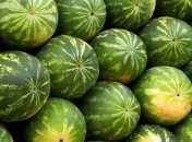 В Запорожье выявили более тонны опасных арбузов