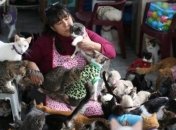 Медсестра сделала из своего дома приют для кошек (Фото) 