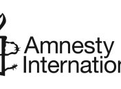 Amnesty International призывает расследовать преступления в зоне АТО