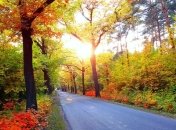 Прогноз погоды в Украине на 11 ноября: будет солнечно