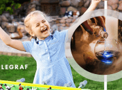 Ілюстративне зображення