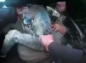 Перепутала шокер и пистолет: появилось видео убийства чернокожего, поднявшего новые протесты в США