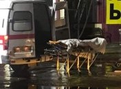 В горсовете Одессы рассказали о состоянии пострадавших от пожара в "Токио Стар"