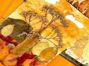 Великолепные картины из засушенных листьев и цветов (Фото)