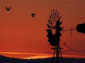 Вітер став головним у "зеленій" енергетиці США