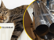 Украинец смастерил собственную "тепловую пушку"