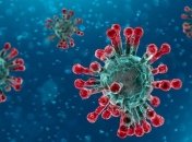 В МОЗ розповіли про походження коронавірусу