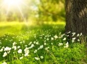 Смс поздравления с первым днем весны 2019