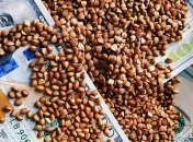 Гречка не радует: стоимость популярной крупы "летит" вверх