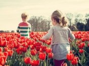 День Николы Чудотворца 2021: народные приметы и запреты