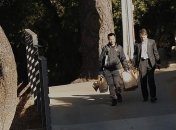 Веселье не удалось: неизвестный открыл стрельбу на Хэллоуин (Фото)