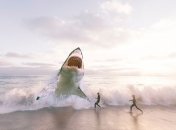 Защита от акул: в Австралии придумали, как обезопасить туристов