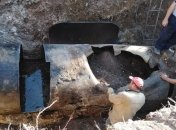 Украинская сторона СЦКК назвала количество единиц неотведенной техники РФ