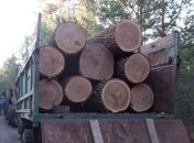 Москаль не планирует отменять распоряжение по ограничению экспорта древесины