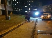 Сбил двух женщин на тротуаре и скрылся: в Запорожской области задержали пьяного водителя