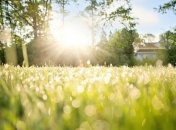 Открытки и картинки "С добрым летним утром!"