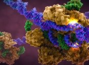 Исследователи научились редактировать ДНК без разрыва