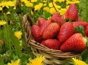 Вкусный и полезный клубничный сок