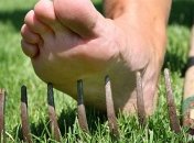 В Запорожской области погибла женщина, подхватившая редкую инфекцию на даче: подробности