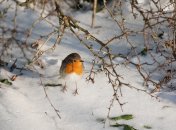 День Иоанна Молчальника в 2023 году отмечается 3 декабря (ранее 16 декабря)