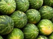 В Украине начался сезон торговли арбузами: цены неприятно удивляют