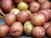 Украина стала одним из лидеров по выращиванию картофеля