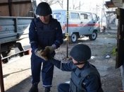 Пиротехники обезвредили более 30 артснарядов