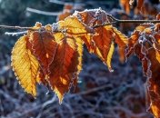 Первые морозы уже на горизонте: чего ждать украинцам от погоды в ноябре