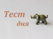 Ворожіння по картинці