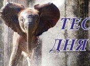 Ваши главные аспекты личности - психологический тест