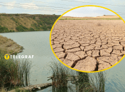 Коллаж "Телеграфа"