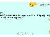 Наш кот тоже сначала не любил пылесос, а потом ничего — втянулся: шутки о домашних питомцах