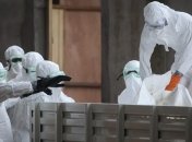 В ООН подсчитали во сколько обойдется борьба с Эболой