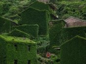 Шэншань — остров-призрак, который медленно поглощается природой (Фото)