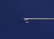 Корь возвращается: Минздрав советует сделать прививку до осени