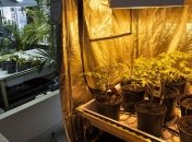 Беременная женщина и мать троих детей торговала наркотиками 