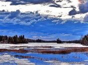 "Это точно декабрь?": синоптики дали прогноз погоды на ближайшие дни