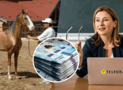 Конюх, деньги и женщина за ноутбуком