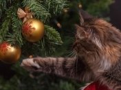 Искусственная елка