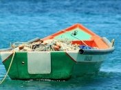 Морське "чудовисько": Користувачка TikTok зняла на камеру загадкову істоту 