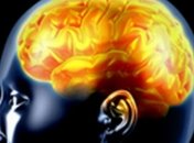 Причину ожирения ученые нашли в работе мозга