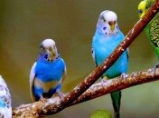 Ученые сделали невероятное открытие