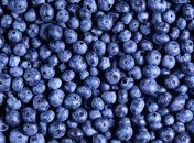 Регулярный прием черники способен улучшить зрение 