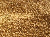 РФ запрещает поставки сои, подсолнечника и кукурузной крупы из Украины 