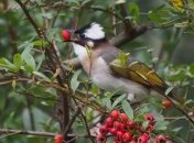 Приметы и обряды на 29 мая – День Федосьи, День Федора Житника