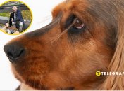 У мережі скаржаться на киянина у собакою