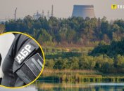 Вырубка леса на территории Чернобыльского заповедника